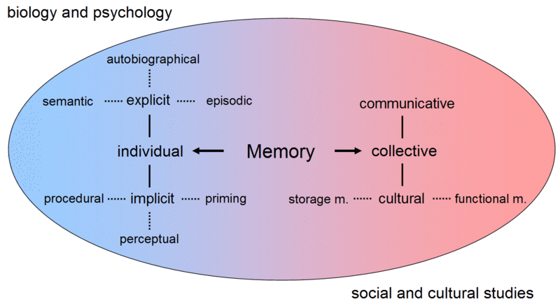Memory is a convergence between biological and sociological systems