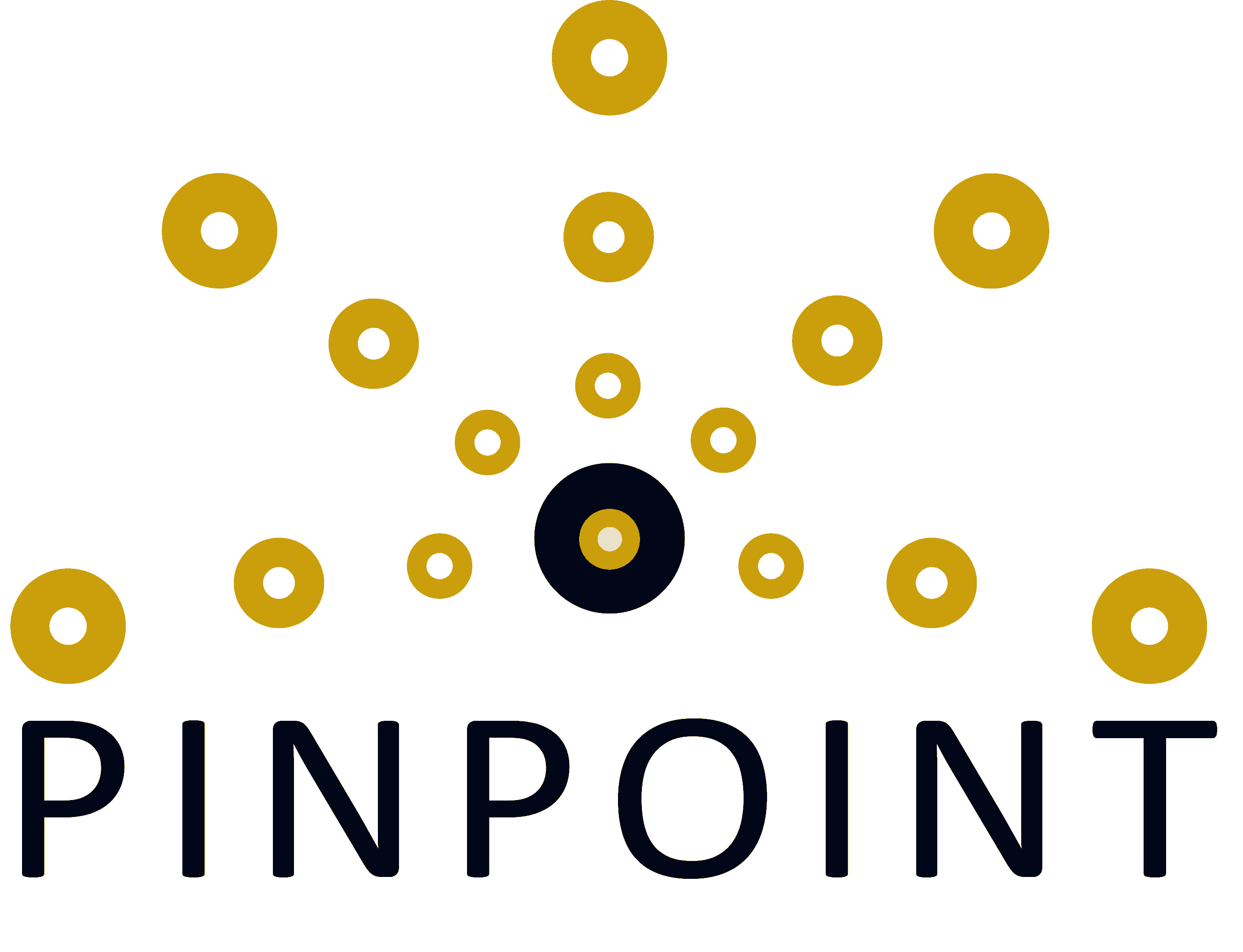 Pinpoint logo
